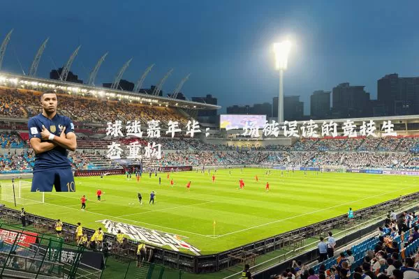 球迷嘉年华:一场被误读的竞技生态重构
